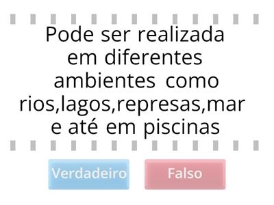 Canoagem - verdadeiro ou falso Alícia 6 B