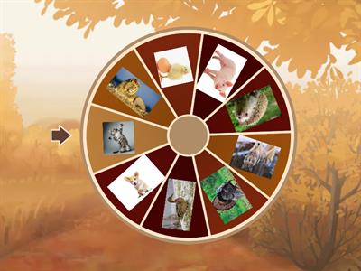 дидактична гра