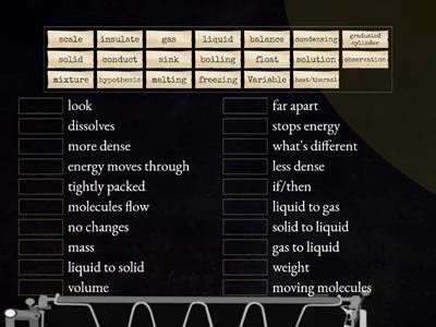 weeks 3-6 word review