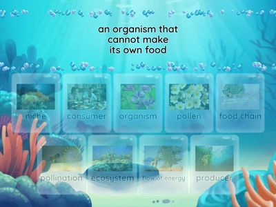 9.1 & 9.2 - Enegry Flow in Food Chains & Changes in Food Chains and Ecosystems