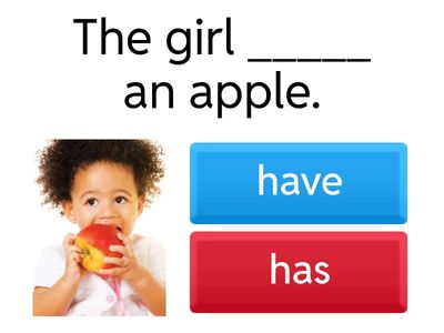 Book 1A Ch4 Has/Have