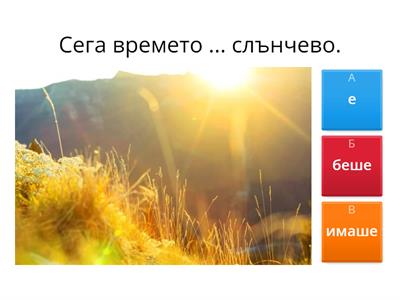 Беше/имаше (минало свършено) 