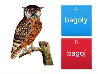 Hogyan írjuk? "j" vagy "ly"
