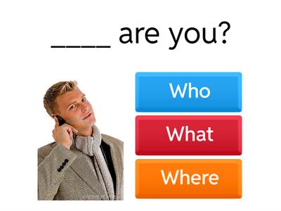 . Who / What / When / Where   LUISA