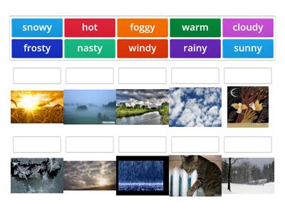 Rainbow English 5, Unit 1 Step 5