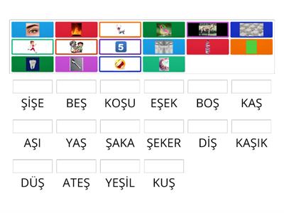 Ş SESİ KELİME ETKİNLİĞİ