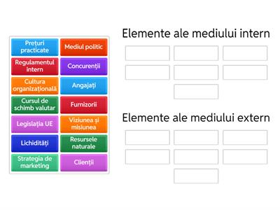 Mediul intern și extern al firmei