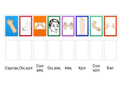 Адамның дене мүшелері 9 сабақ