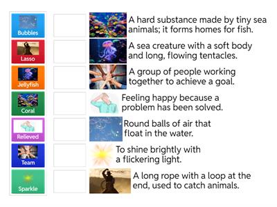 SpongeBob Bubble Trouble Vocabulary 