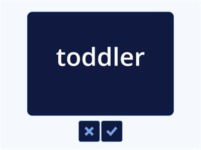 Family (Vocab Cards ОГЭ)