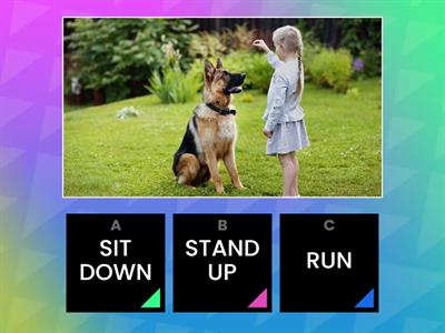 Commands - English Time