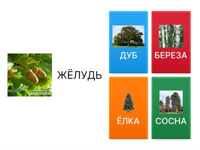 викторина для детей 2