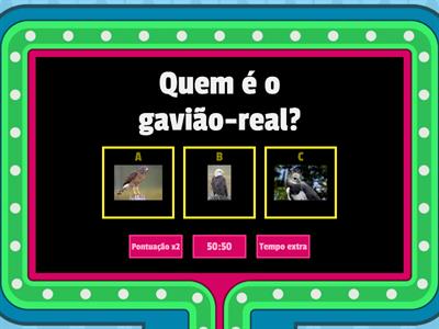 Qual o bicho?