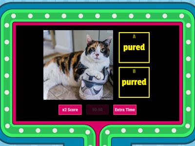 7.4 Choose correct spelling 