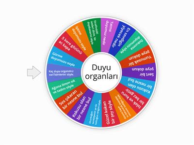 Duyu organları eğlence çarkı