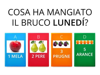 QUIZ IL BRUCO MAI SAZIO