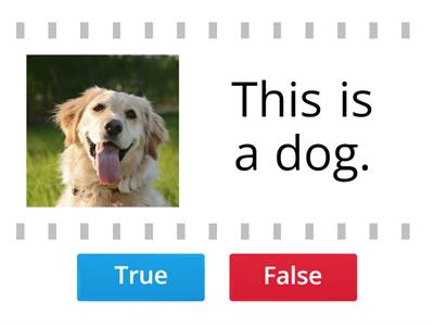 Pre A1 Starters - Part 1 (Reading & Writing)