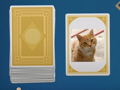 die Tiere Γ γυμνασίου