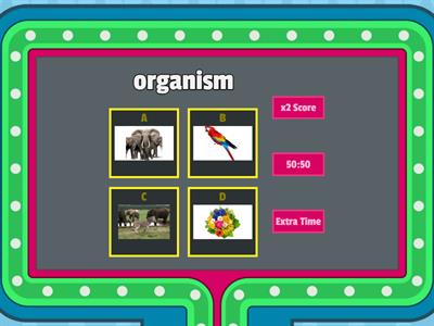 Levels of Ecological Organization