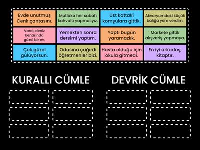 KURALLI-DEVRİK CÜMLE