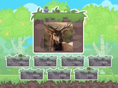 НУШ 6 класу "Способи живлення тварин"