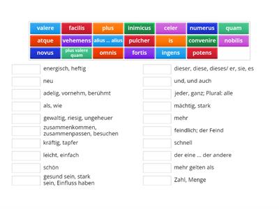 Vokabeln prima 13-1 und Adjektive aus 13-2+3