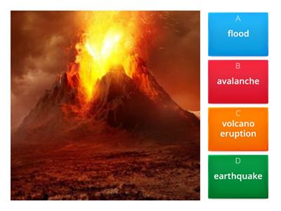 Natural Disasters. Quiz