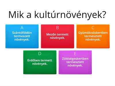 Növények környezetünkben (környezet 4. osztály)