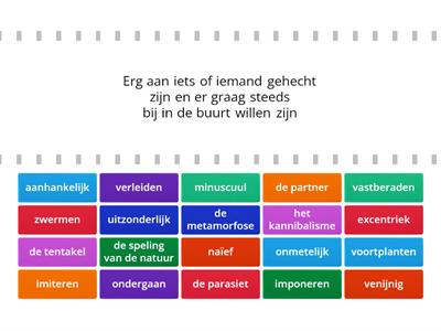 Staal - Buitenissig 2 (Groep 7/8)