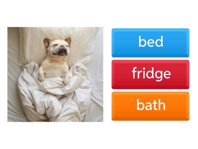 Копія меблів