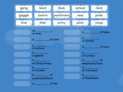 C2 : COLLECTIVE NOUNS 