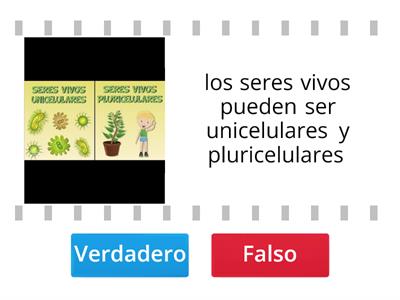 los seres vivlos y su nutricion