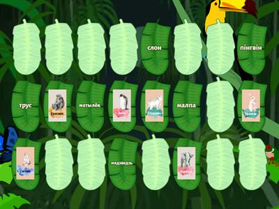 1 група. Месяцы і жывёлы.