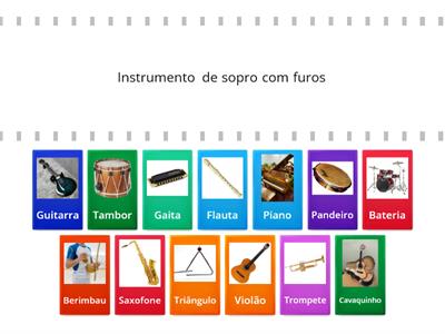 qual é o  Instrumento musicail