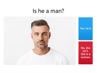 Answering 'to be' questions