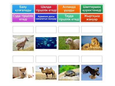 Ыстық аналар ұлдарын қуантады порно видео