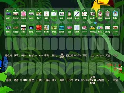 国际音标2-辅音