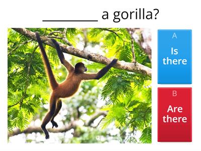 Is there / Are there ?