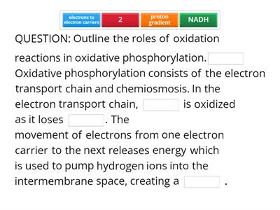 C1.2.15—Chemiosmosis and the synthesis of ATP in the mitochondrion