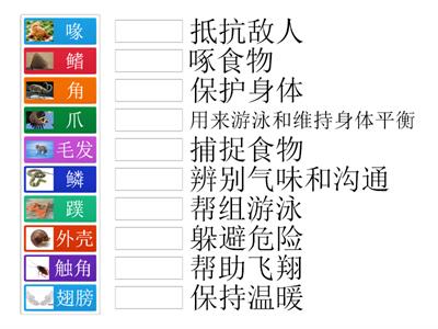 一年级科学（动物身体部位的重要性）