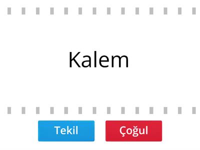 Tekil-Çoğul