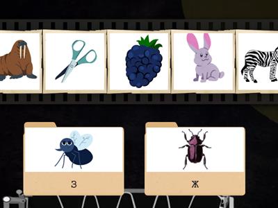 Диференціація З-Ж