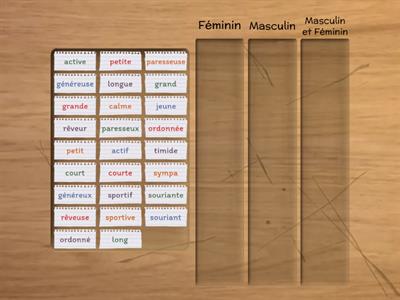 Les adjectifs féminins et masculins