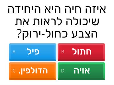 הדיל דדא 206676421