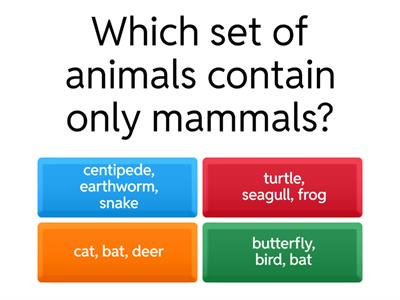 Animal Classification Quiz2