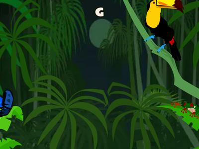 Revision G - C - F - V Flying Fruit