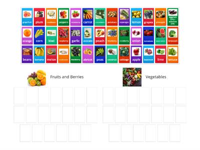 Food Sort 1 (fruits,berries,vegetables)