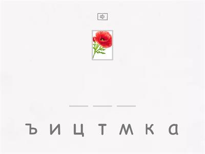 Чтение. Урок 1. Напишите слово по буквам.