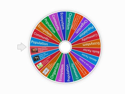 Levels of Ecological Organization MODDED