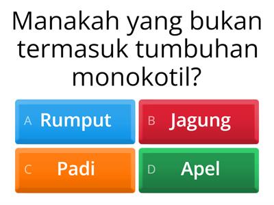 struktur dan fungsi tumbuhan 